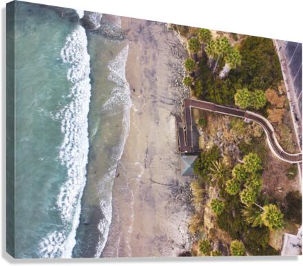 Swamis Canvas Print
