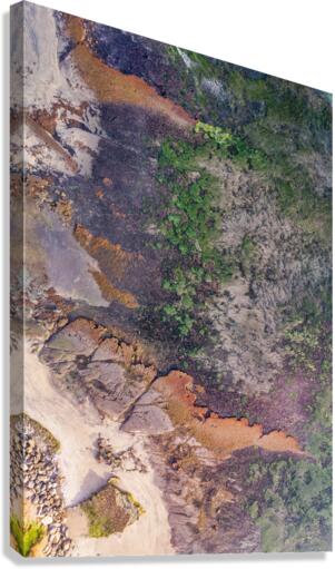 swamis reef Canvas Print