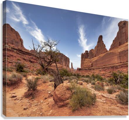 5th avenue Canvas Print