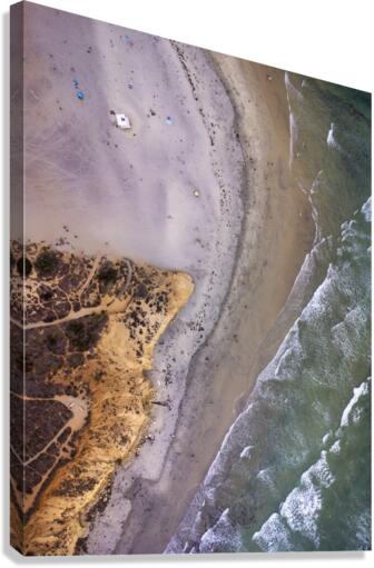 Dogs beach Canvas Print