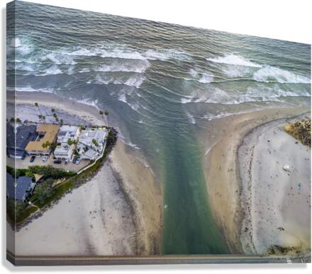 dogs beach Canvas Print