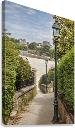 The beach path Canvas Print
