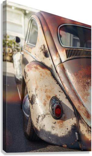 rusty bug Canvas Print