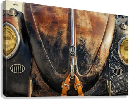 Rusty bug Canvas Print
