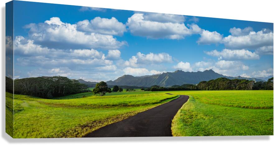 Jurassic ranch Canvas Print