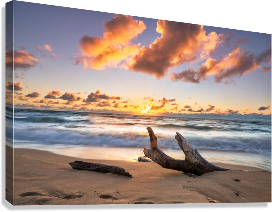 DSC05641 Canvas Print