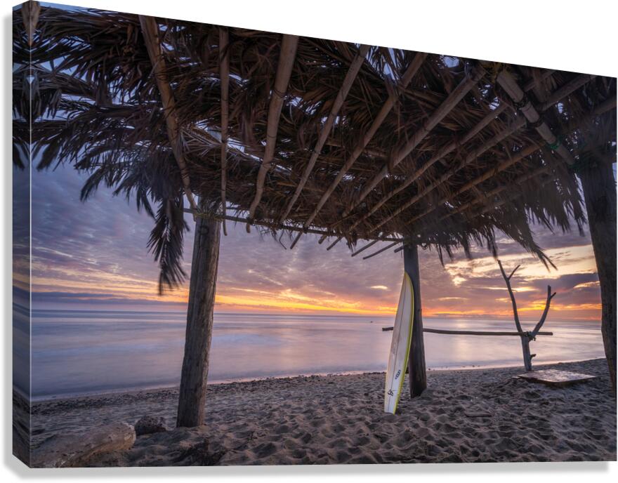 DSC04965t Canvas Print