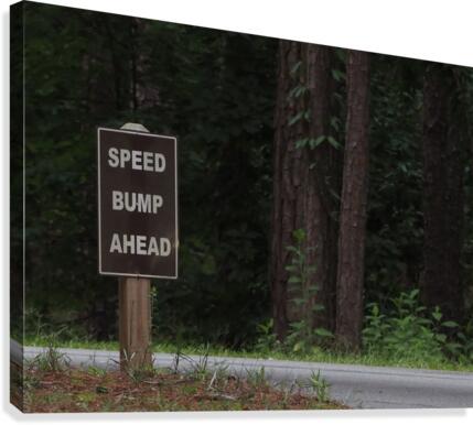 Speed Bump Ahead Canvas Print