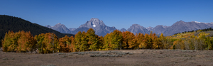 Bridger Teton Autumn pano