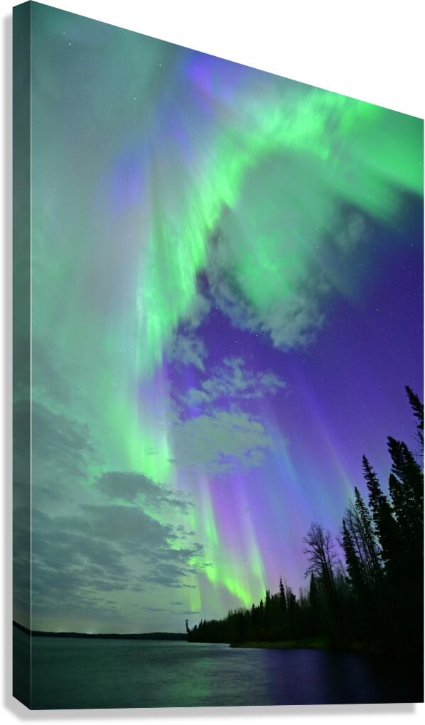 DSC 2521 Canvas Print