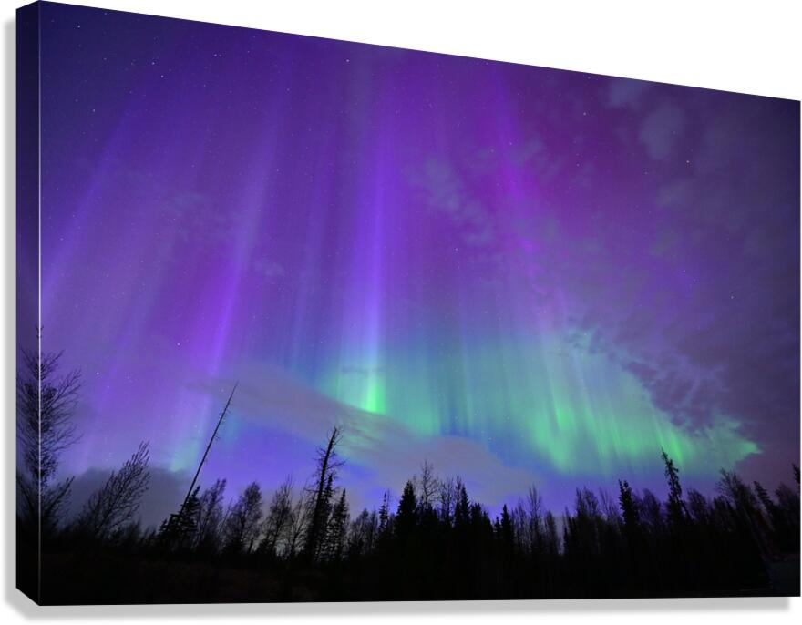 DSC 2402 Canvas Print