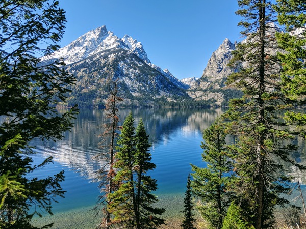 Grand Teton Mountain with views Print