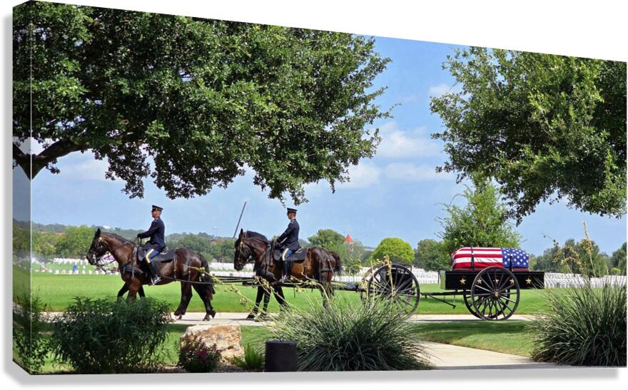 Horse-drawn Caisson Canvas Print