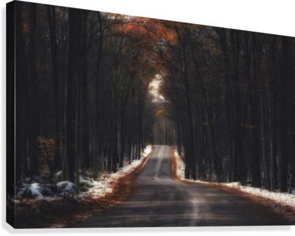 Tunnels Canvas Print