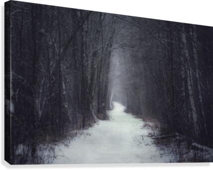 Winter Trail Canvas Print