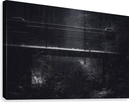Forgotten Bridge  Canvas Print