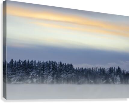 Windswept Canvas Print