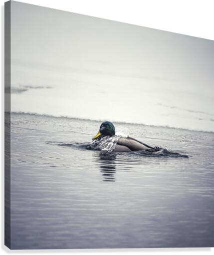 Ripples Canvas Print