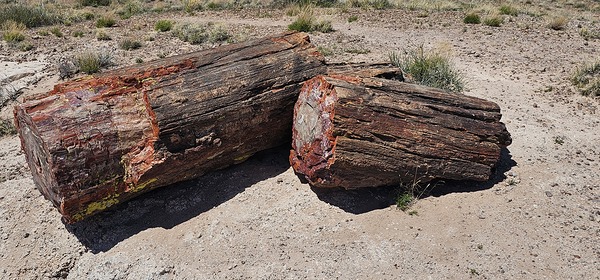 20240412 122857 Print