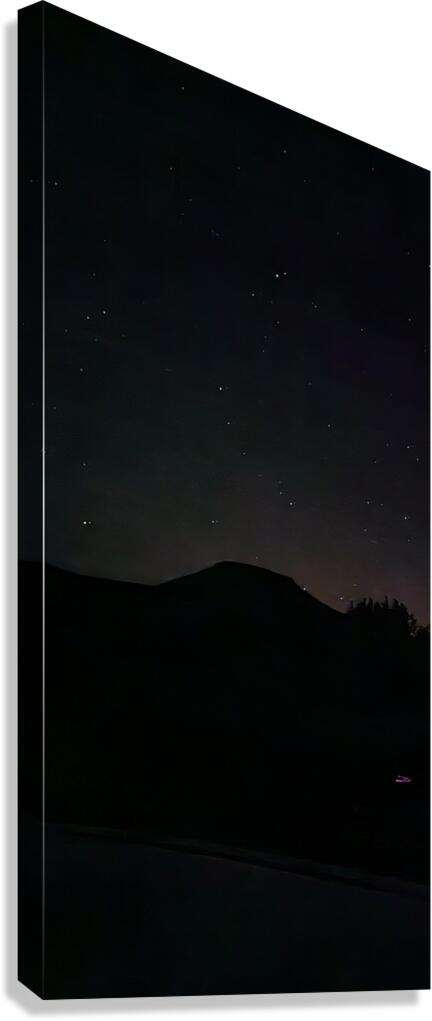 20240409 204358 Canvas Print