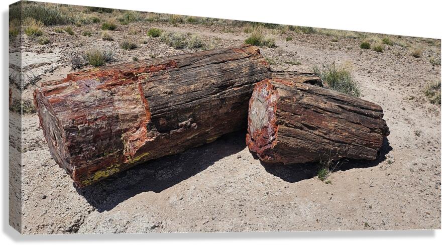 20240412 122857 Canvas Print