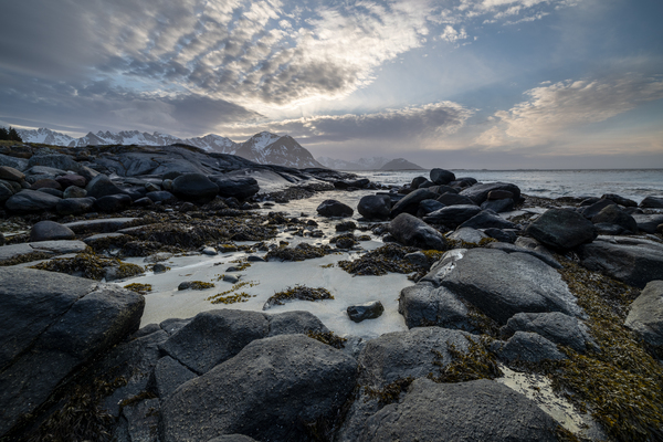 Lofoten landscape by Frank Pietersen