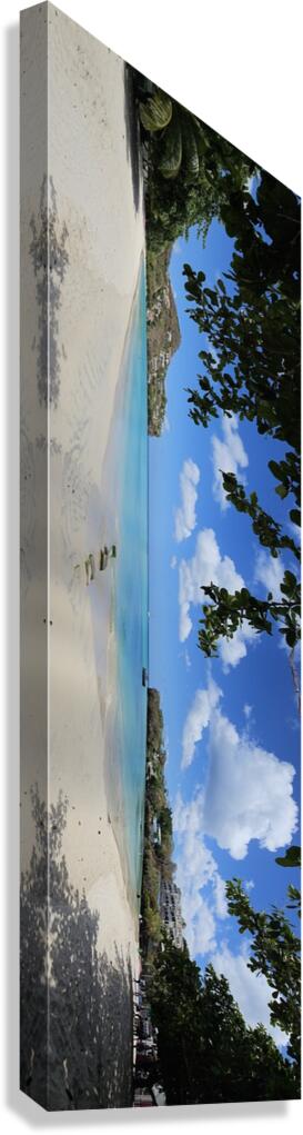 20250215 120515 Canvas Print