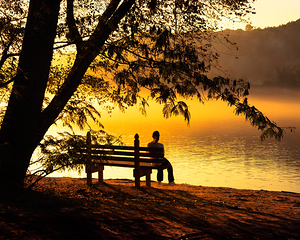 Peaceful Morning on the Banks of the Chattahoochee River - Roswell Georgia