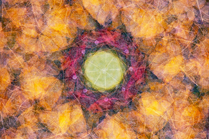 Intricate autumn leaves collage with vibrant colors