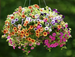 Flower Basket