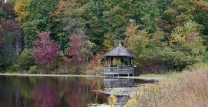 Butler Pond