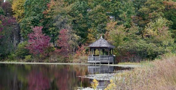Butler Pond Print