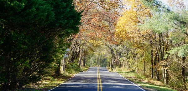 Thompson Road Print