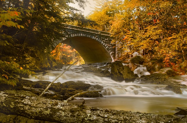 Profiles Falls Autumn  Print