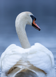 A29I4984 Edit 3