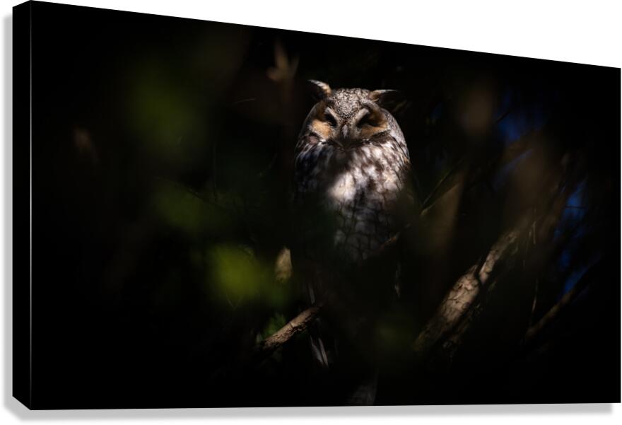 A29I0804 Edit 2 4 Canvas Print