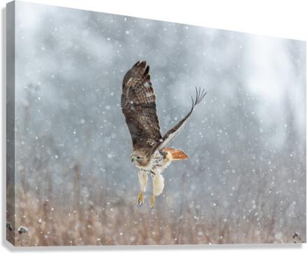 A66I1098 Edit Canvas Print