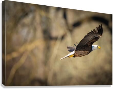 DSC01073 Edit Canvas Print