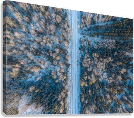 DJI 0404 Edit Canvas Print
