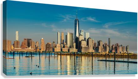 DSC01444 Canvas Print