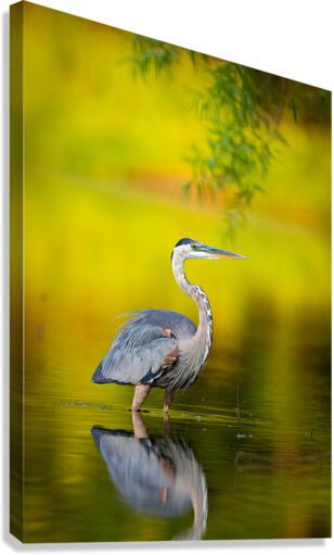 AC3Y9757 Edit Canvas Print