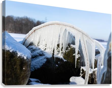 Frozen Canvas Print