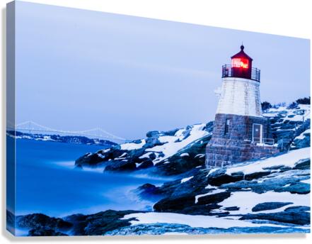 Frozen landscape Canvas Print
