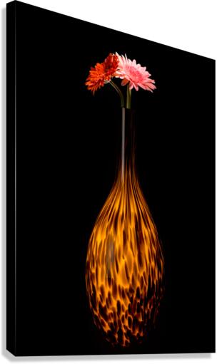 Fire - 2 Canvas Print