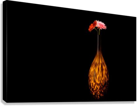 Fire - 1 Canvas Print