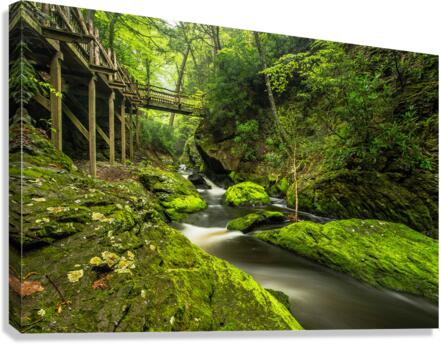 Go green Canvas Print