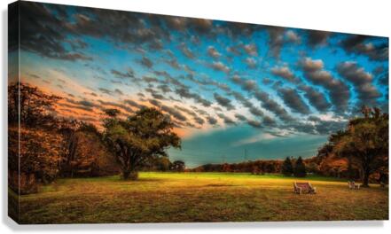 DP2L7294 Canvas Print
