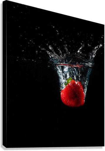 DP2L2958 Canvas Print