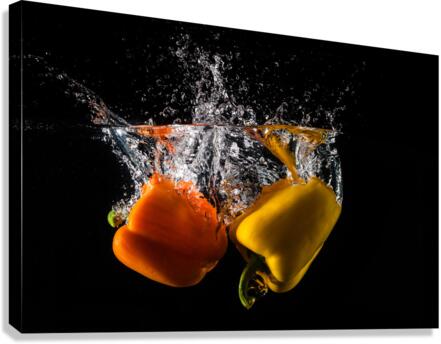DP2L3062 Canvas Print