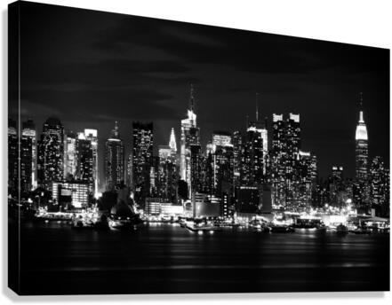 DP2L5177 Canvas Print